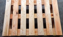 Pallet 600 x 800 mm nuovi