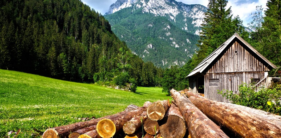 Come proteggere il legno dalle intemperie